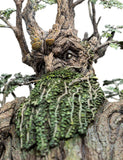 The Lord of the Rings: Leaflock the Ent Statue 1/6 - 76 cm - exceptional collecting, Leaflock the Ent, limited edition, Lord of the Rings, lord of the rings statue, movies, Statues Lord of the Rings, weta workshop - Gadgetz Home